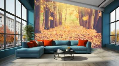 紅葉した楓が舞い落ちている楓の森　オレンジの秋の景色 Wall mural